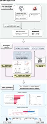 Interpretable machine learning for predicting the response duration to Sintilimab plus chemotherapy in patients with advanced gastric or gastroesophageal junction cancer